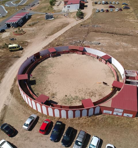Despedidas de Soltero en Salamanca - Capeas con Bebida Incluida